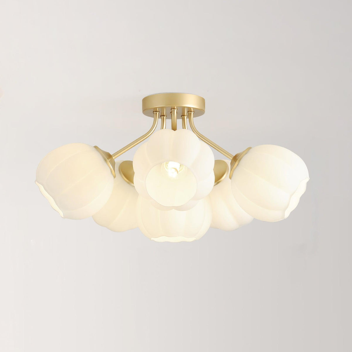 Evania Ceiling Light
