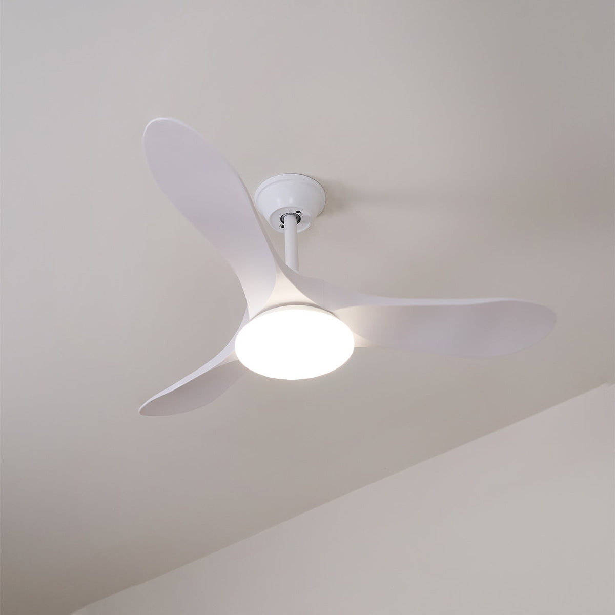 Oriken Minimalist Ceiling Fan Light