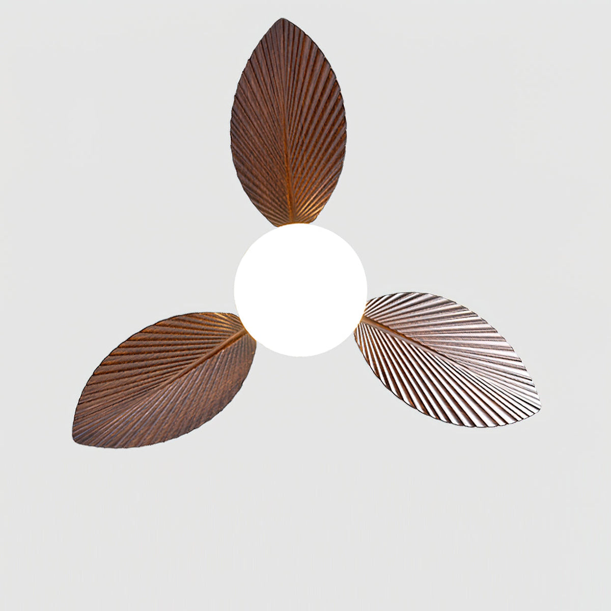 Calirella Ceiling Fan Light