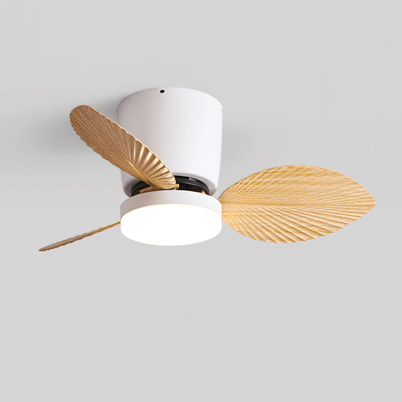 Calirella Ceiling Fan Light
