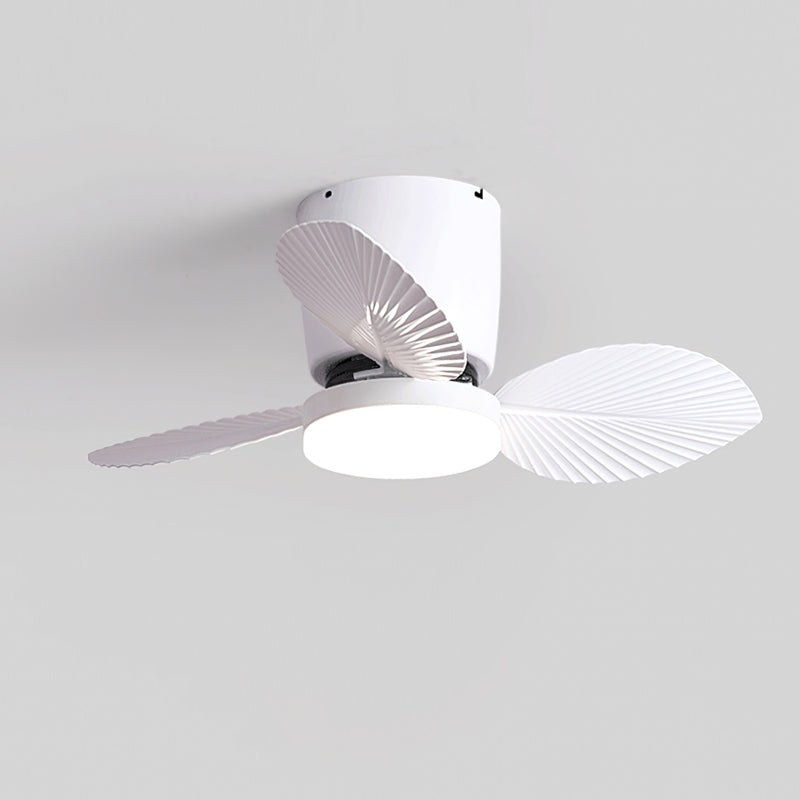 Calirella Ceiling Fan Light
