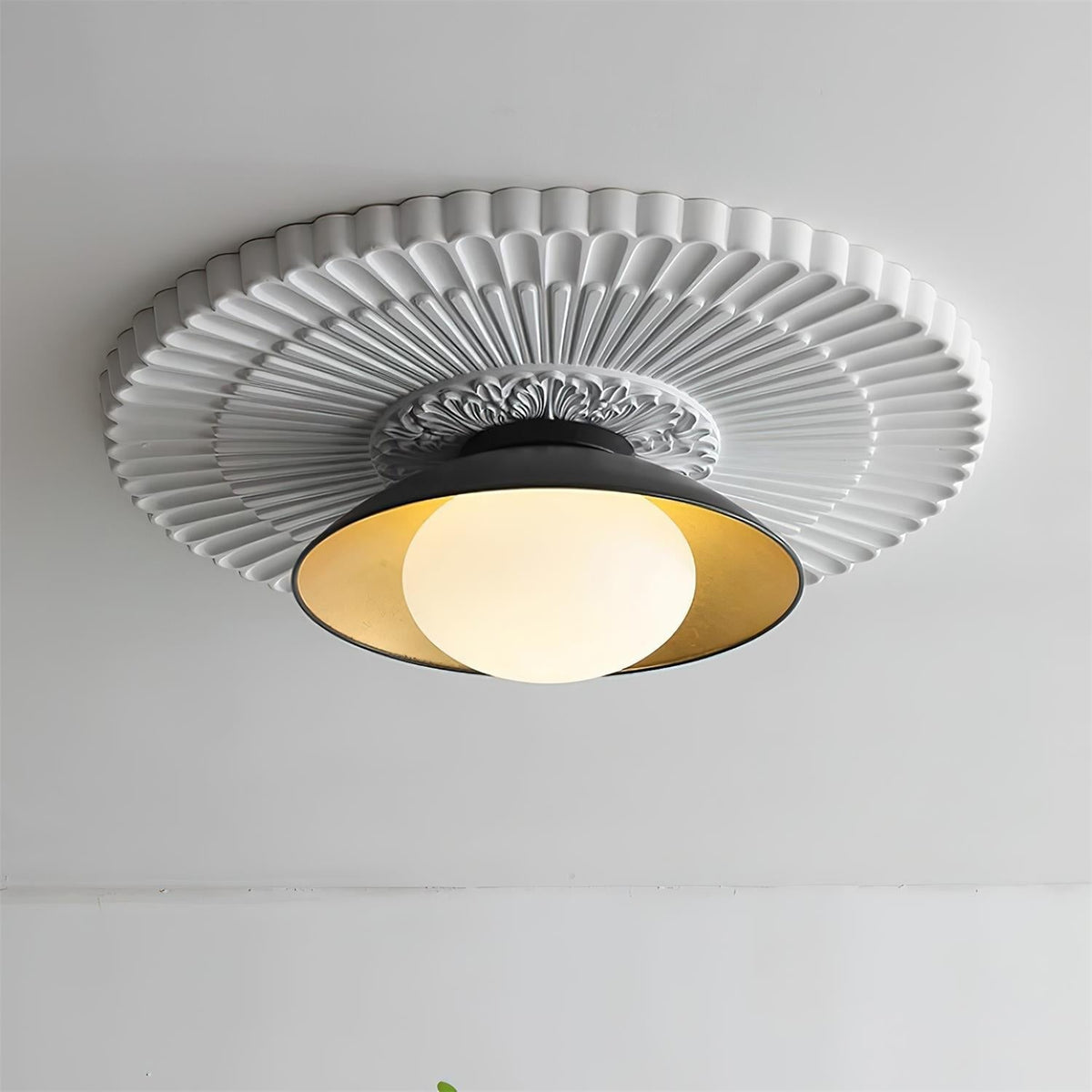 Reneaine Ceiling Light