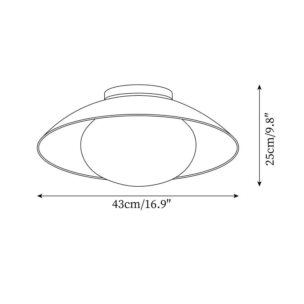 Reneaine Ceiling Light