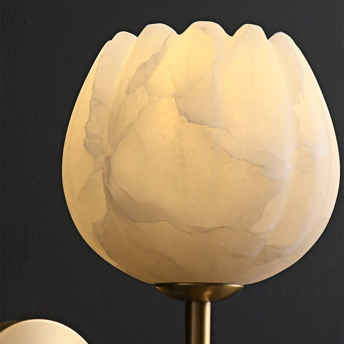 Nivarina Floral Alabaster Brass Wall Light