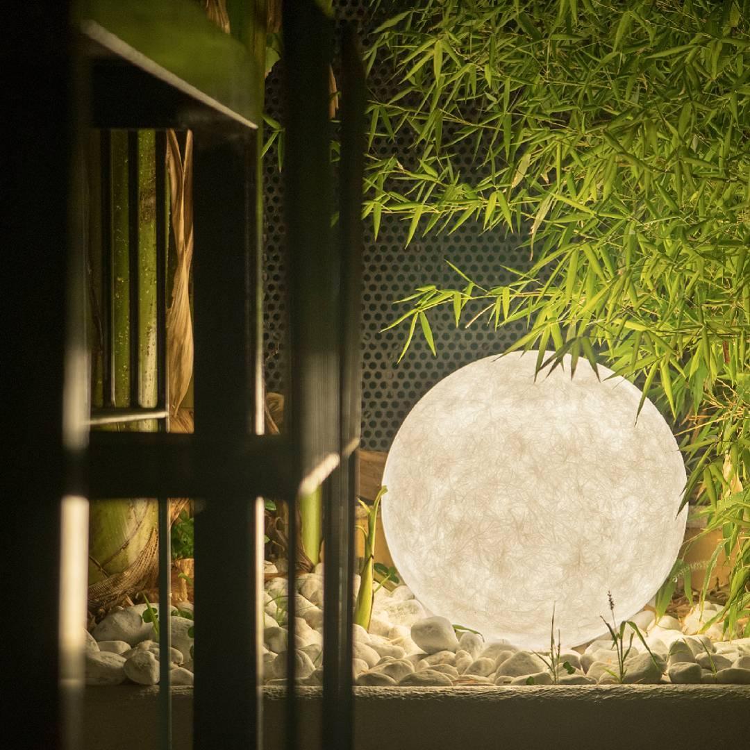 Calalina Outdoor Light
