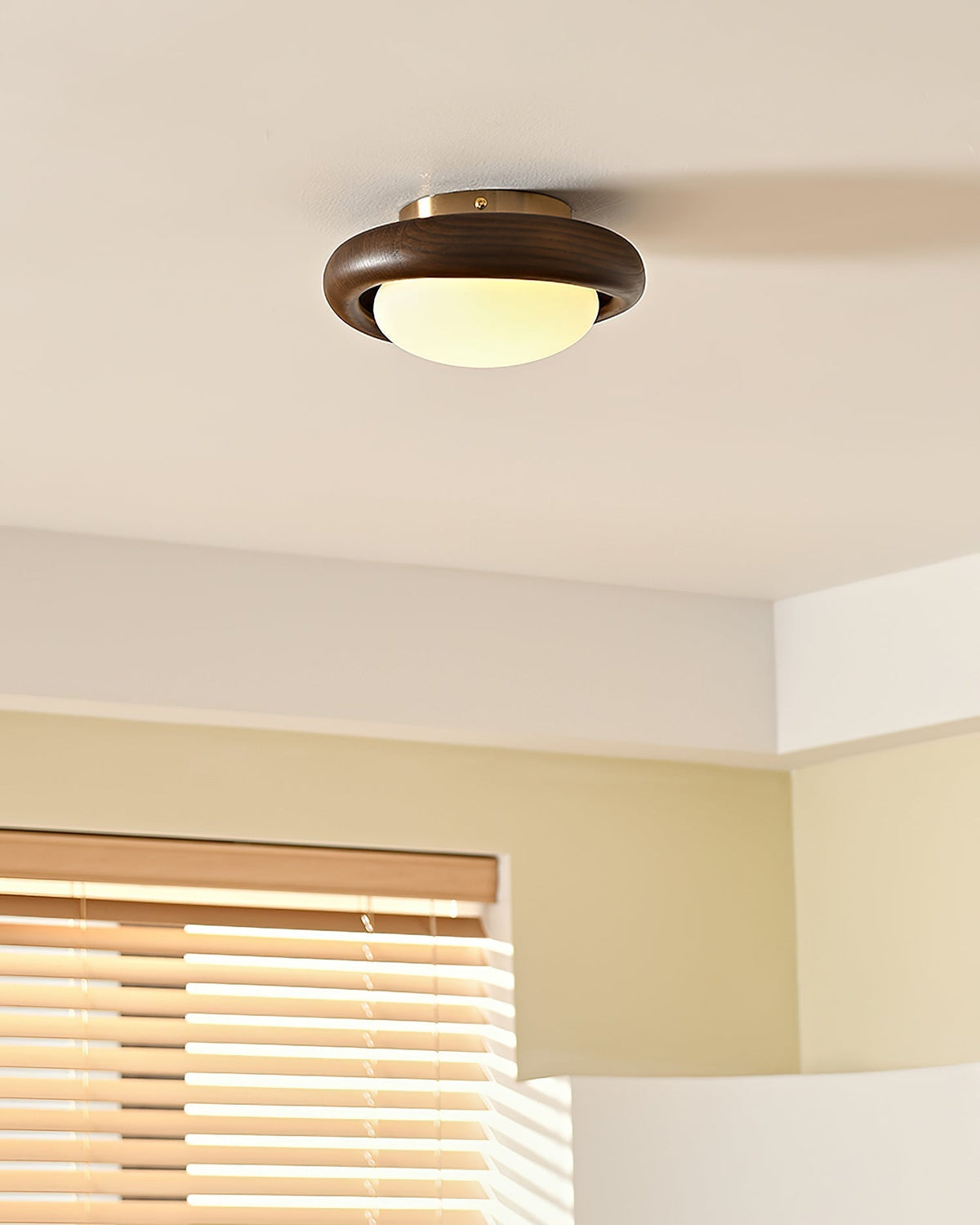 Avenuia Ceiling Lamp