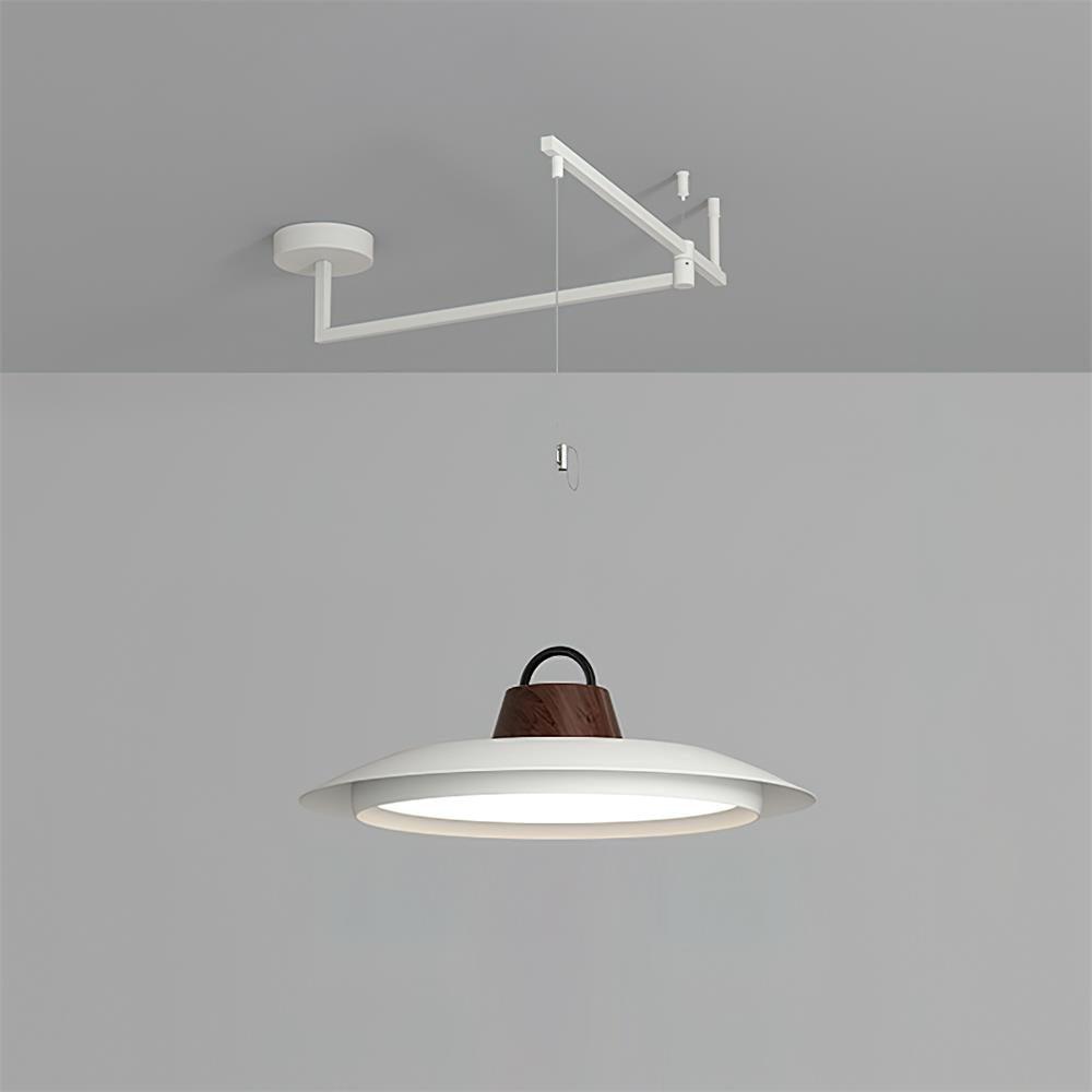 Elaisenne Swing Arm Pendant Lamp