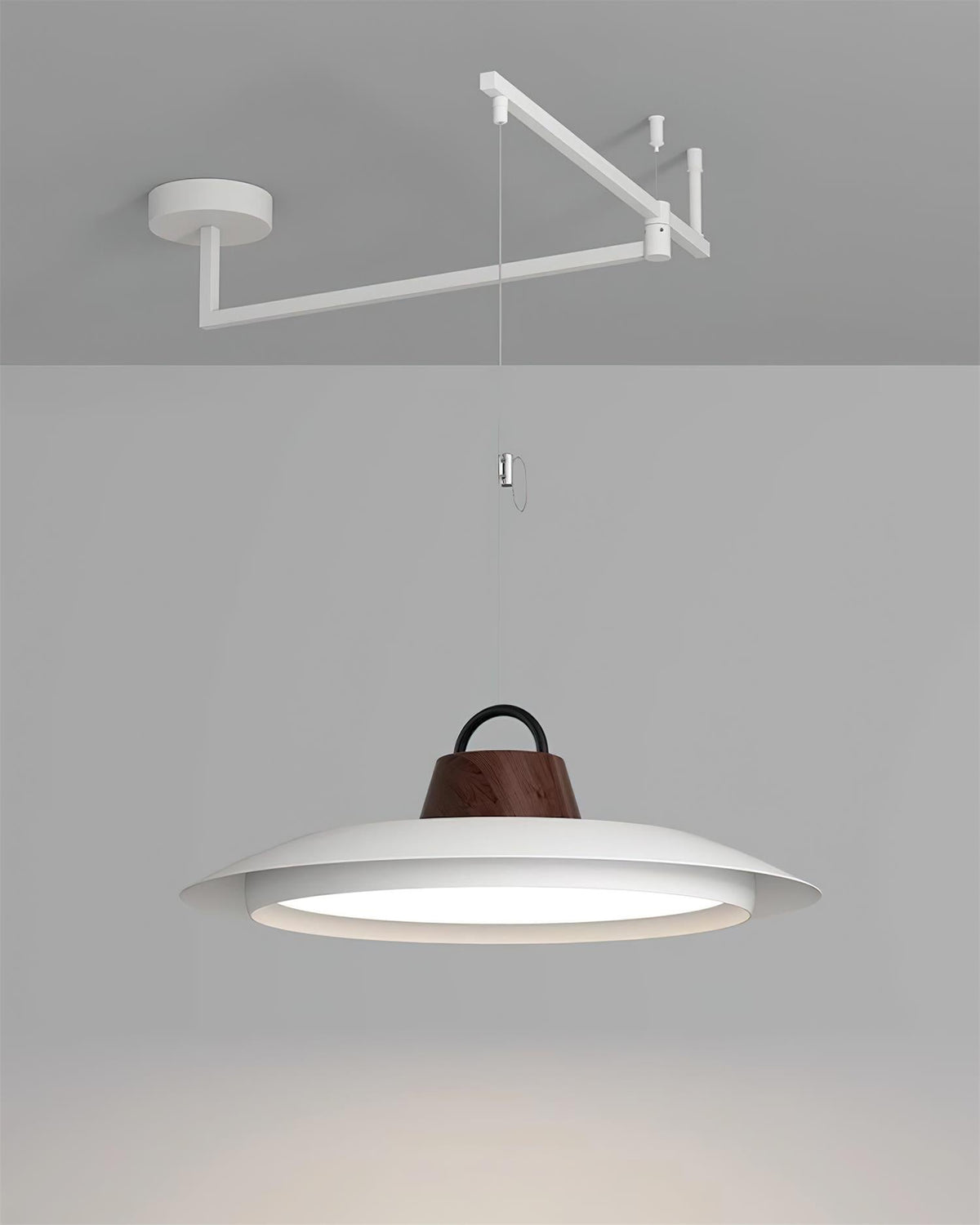 Elaisenne Swing Arm Pendant Lamp