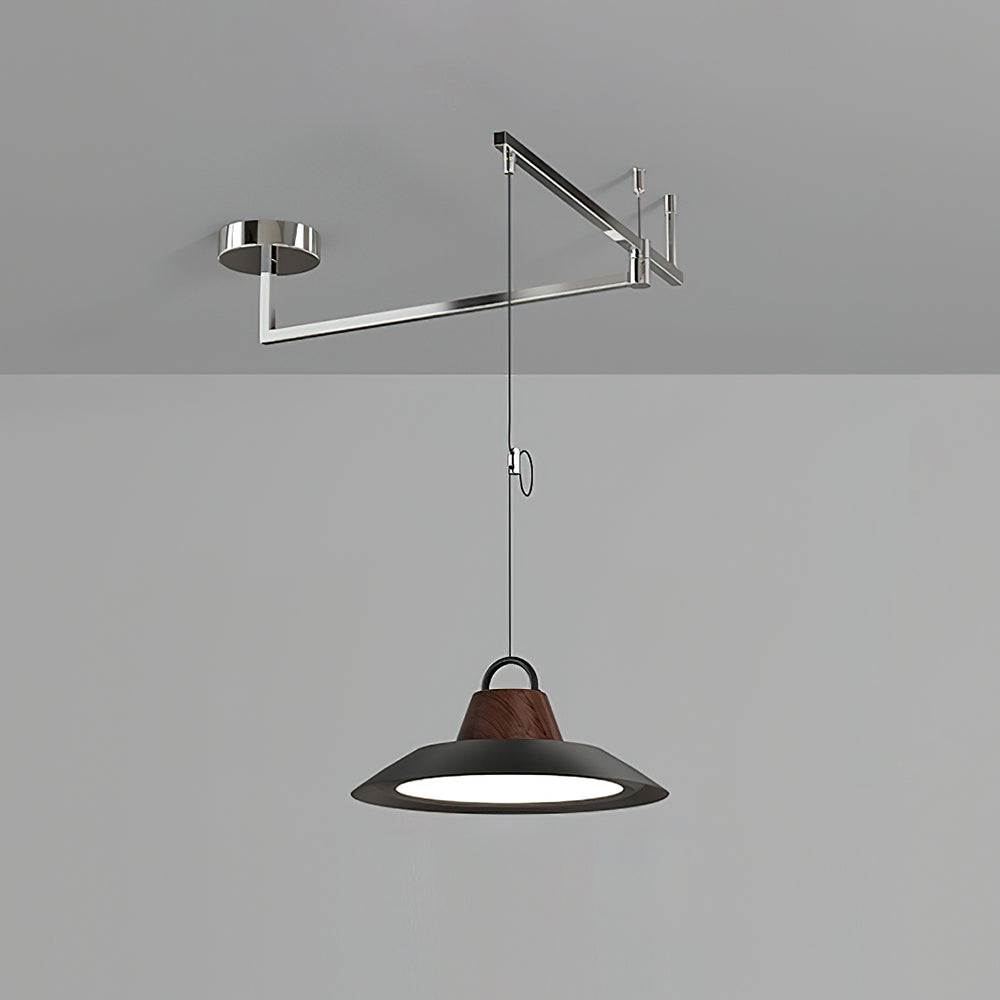 Elaisenne Swing Arm Pendant Lamp