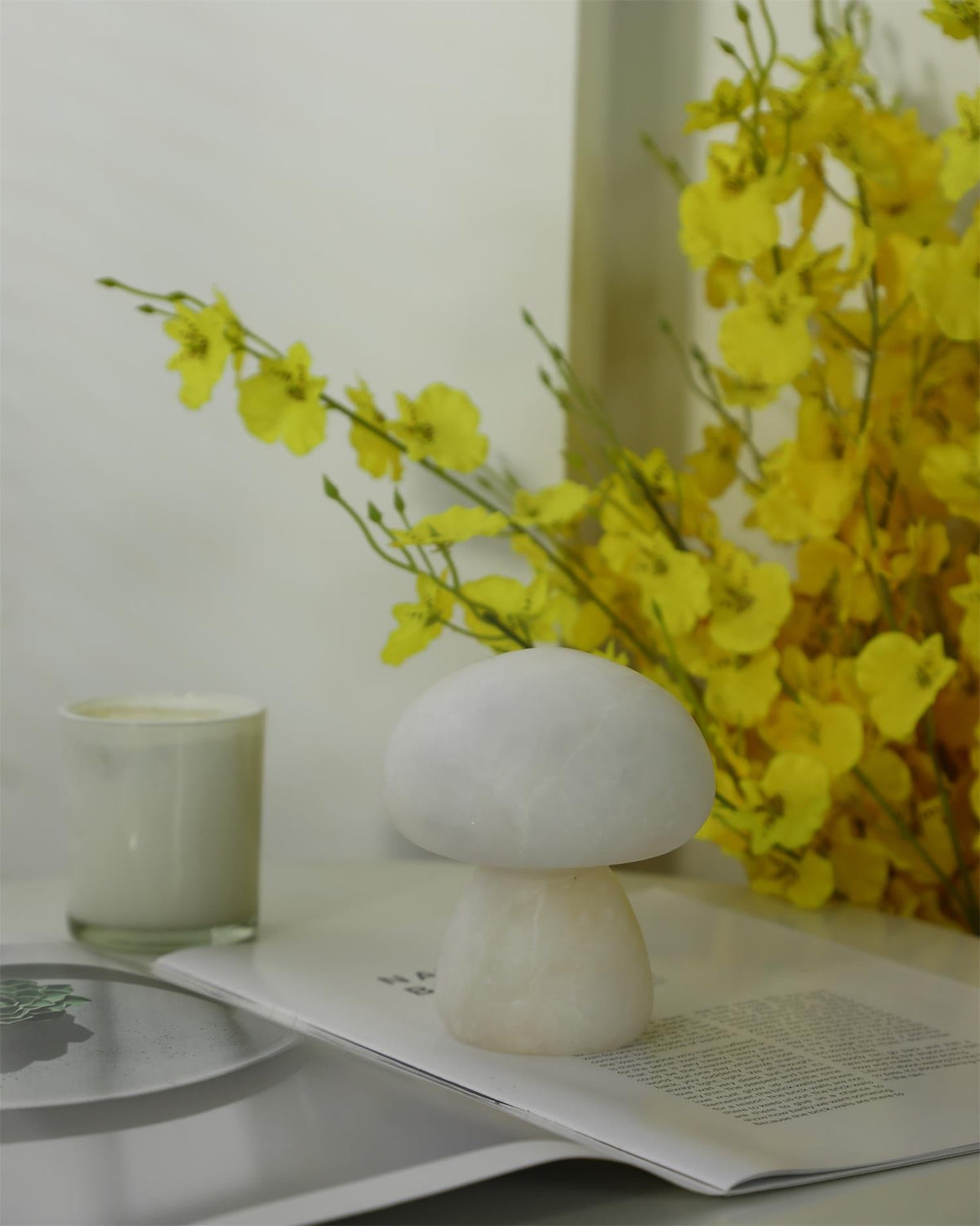 Fungi Table Lamp (built-in battery)