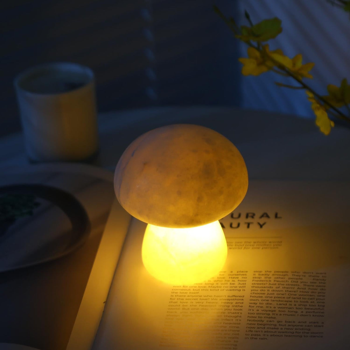 Fungi Table Lamp (built-in battery)