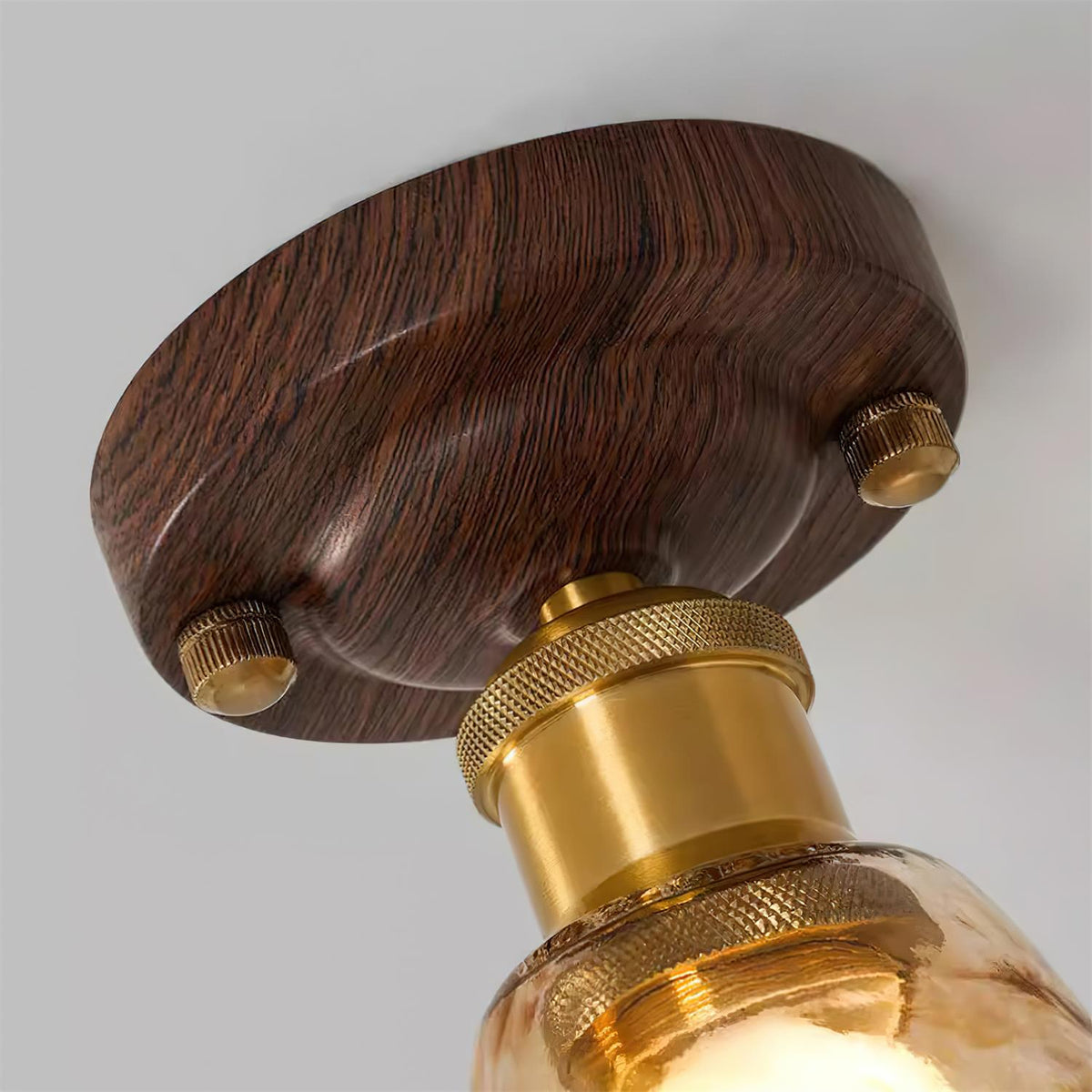 Orelariella Ceiling Light
