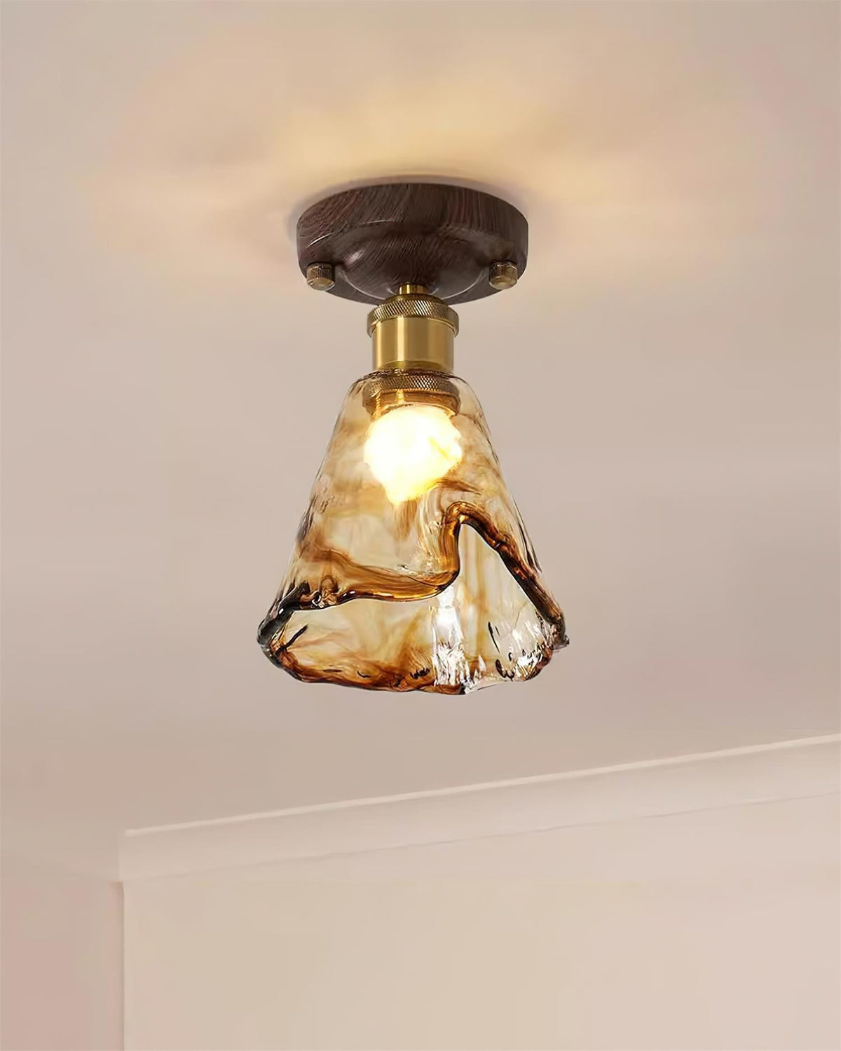 Orelariella Ceiling Light