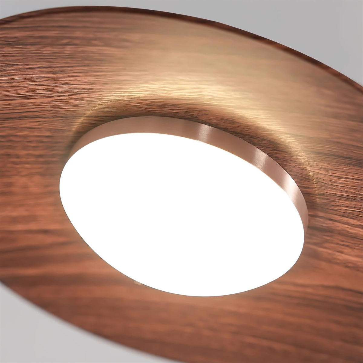 Soraena Pendant Light