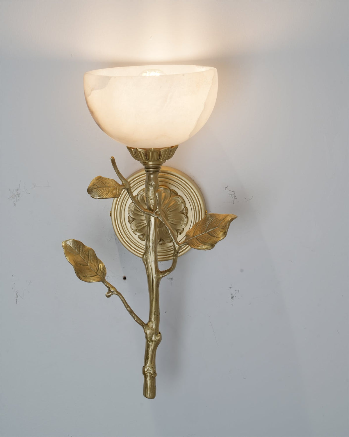 Rivinaria Wall Sconce