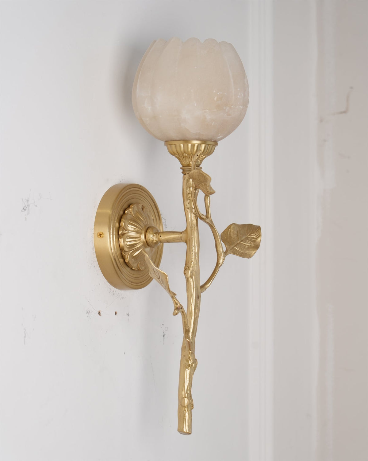Rivinaria Wall Sconce