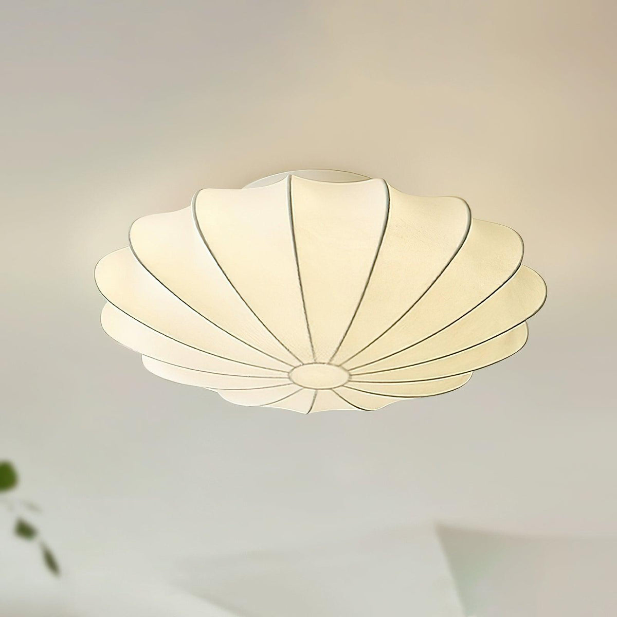 Cakomad Ceiling Light Seashell Simplicity