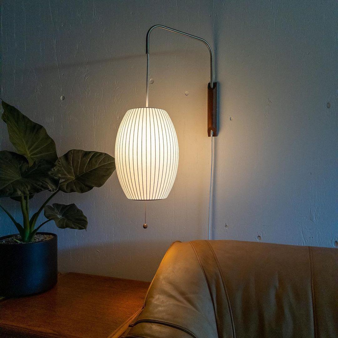 Aldinira Wall Sconce Walnut Ball
