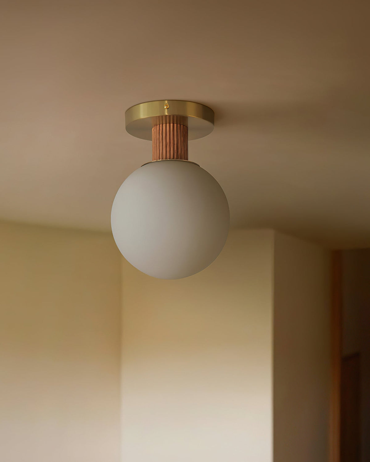 Sorireria Ceiling Lamp
