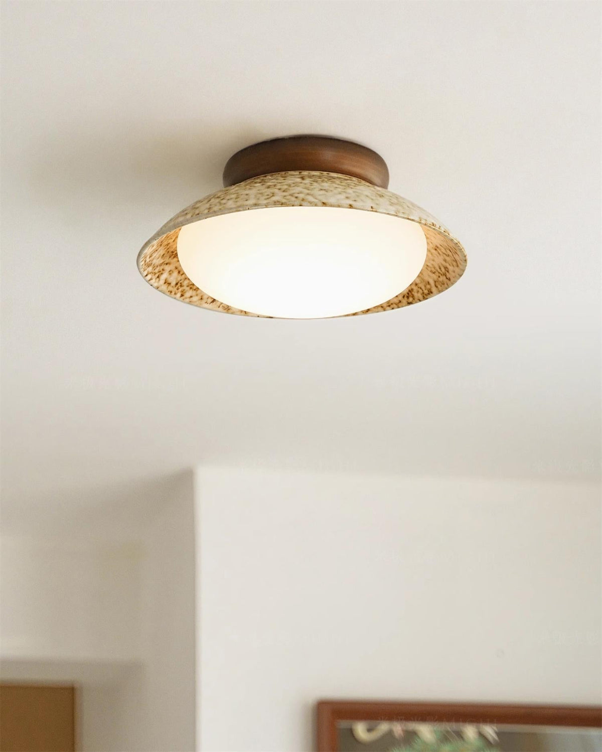 Liorenian Ceiling Lamp