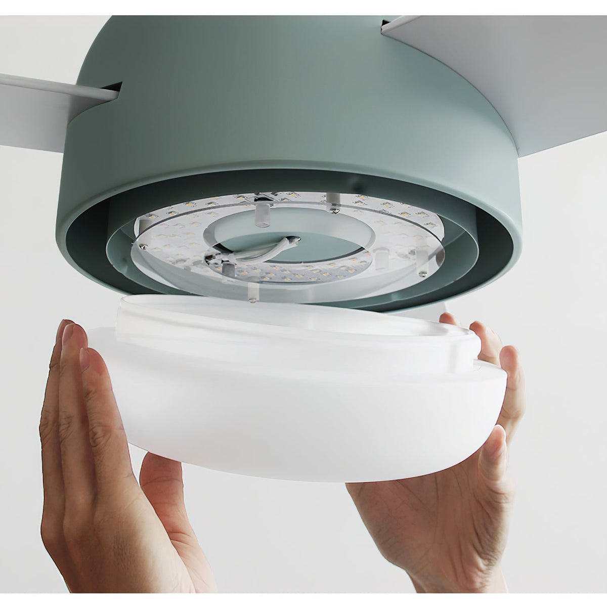 Cirareon Ceiling Fan Light