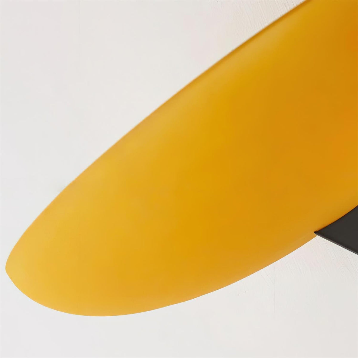 Renuora Wall Lamp