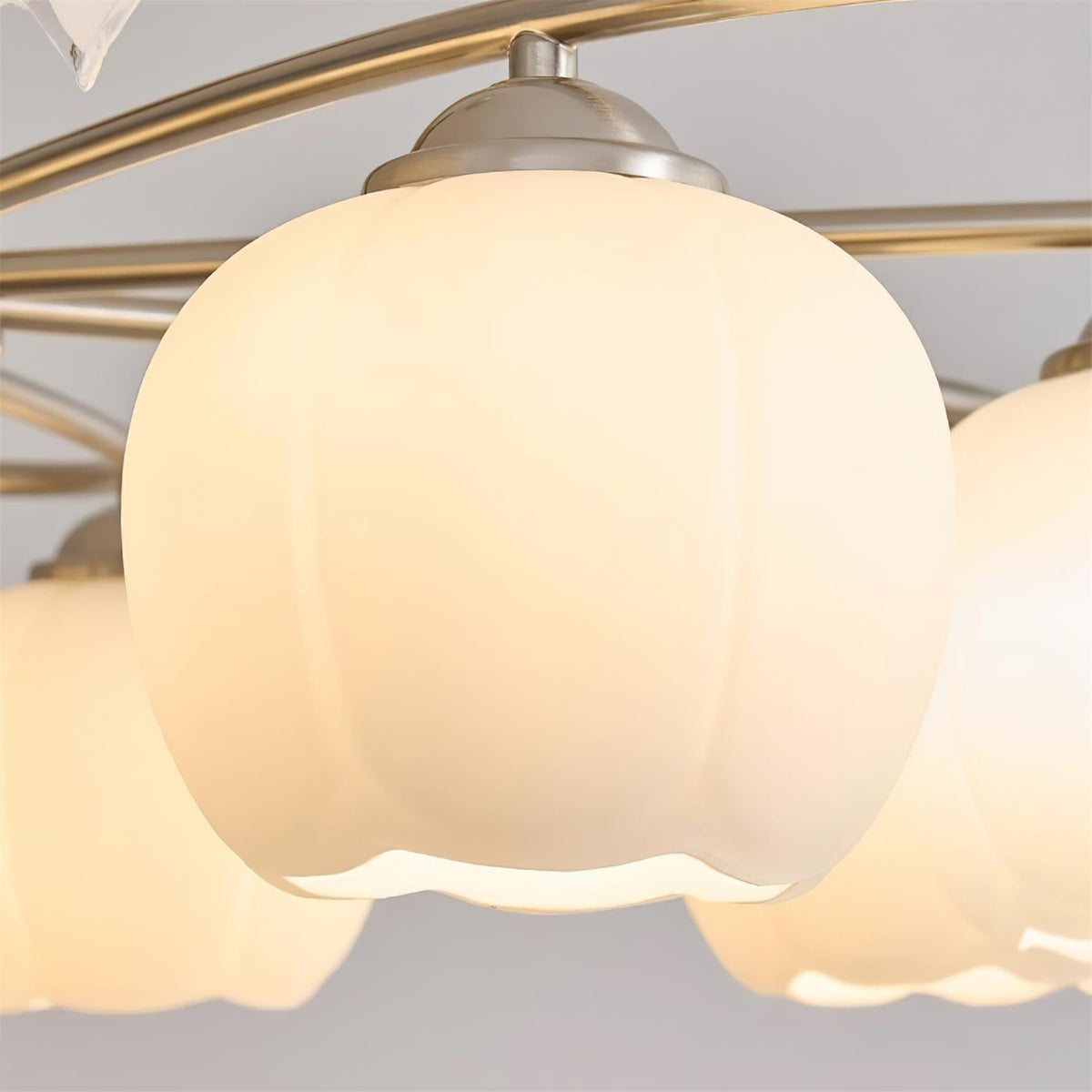 Lioralena Chandelier