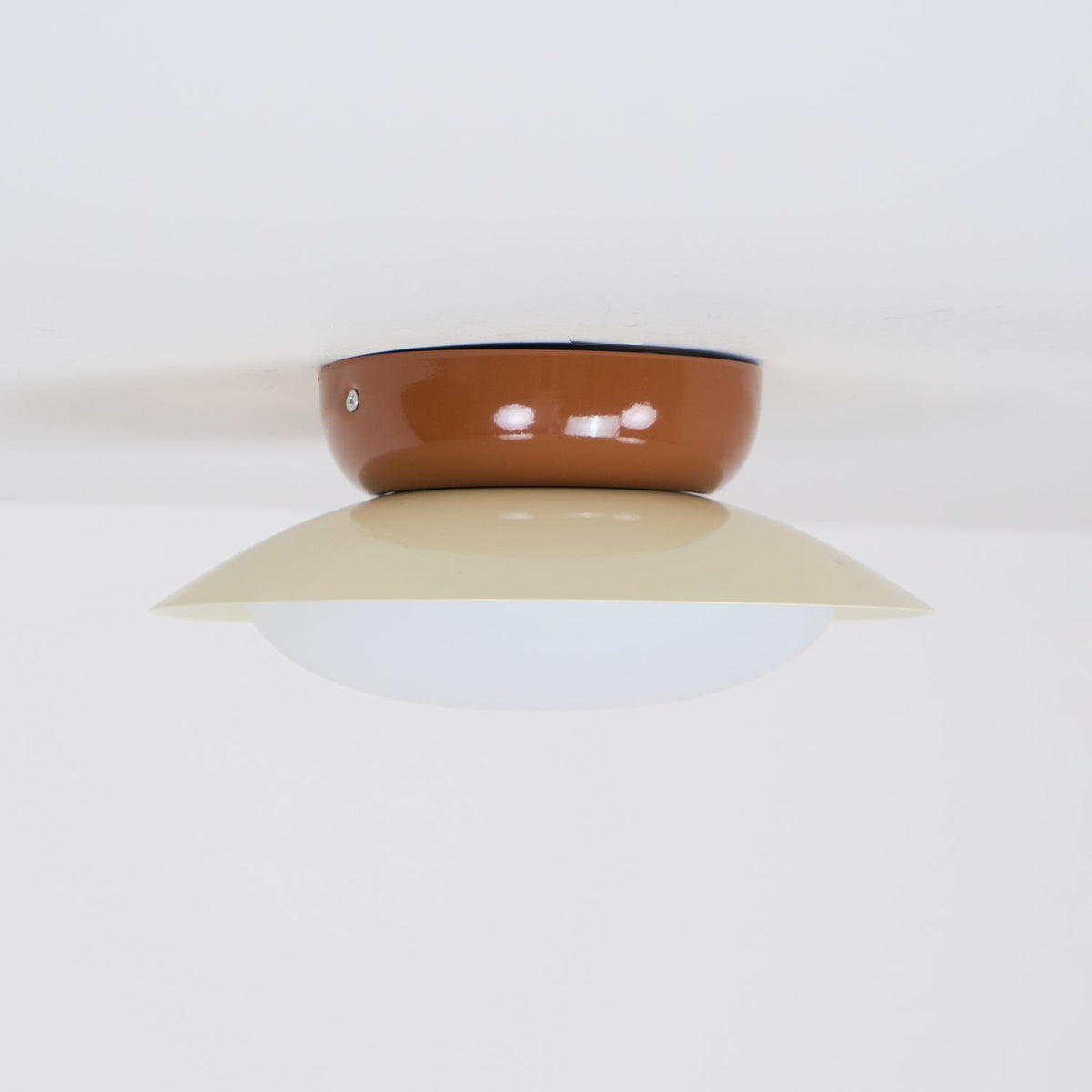 Cinageku Ceiling Light Bowl-shaped