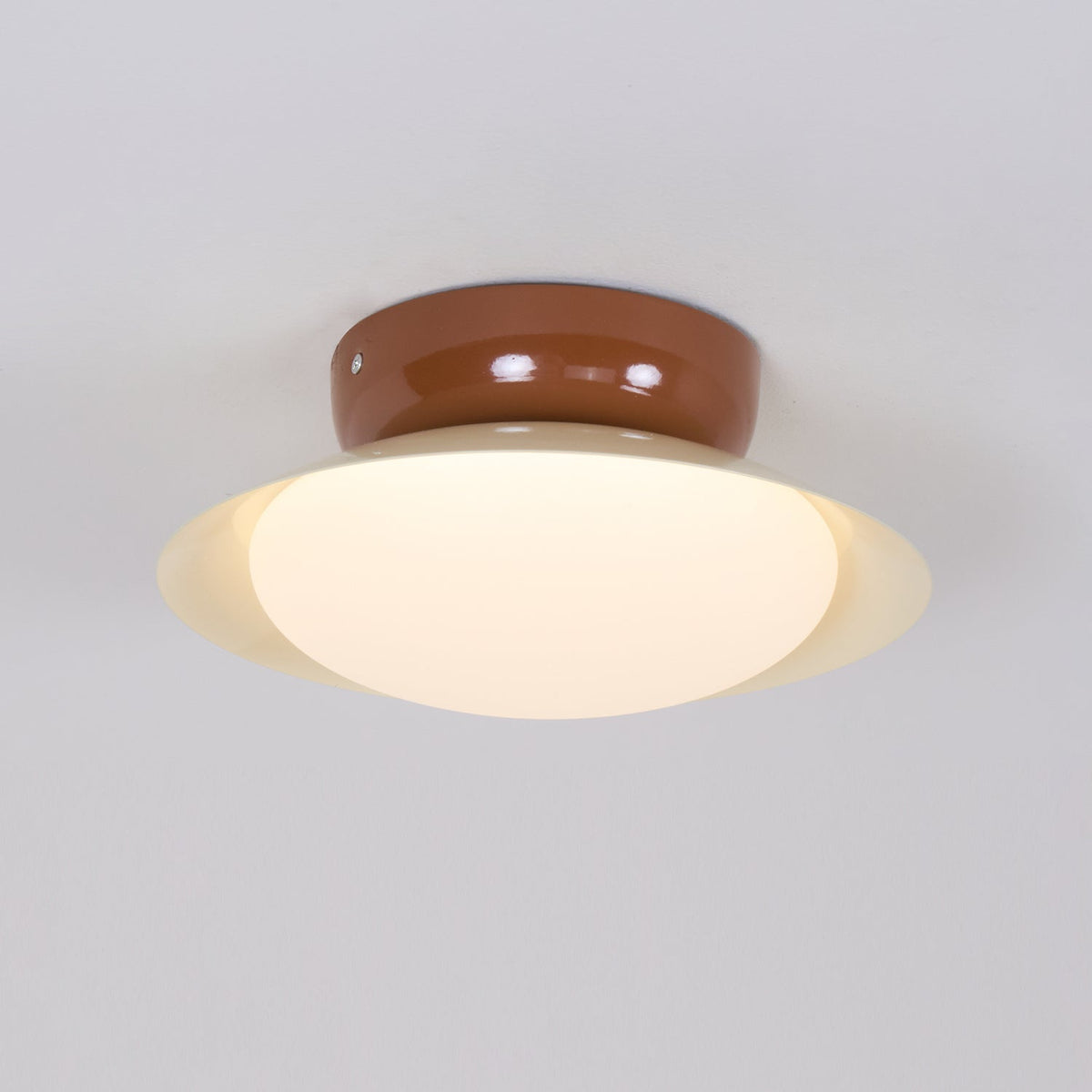 Cinageku Ceiling Light Bowl-shaped