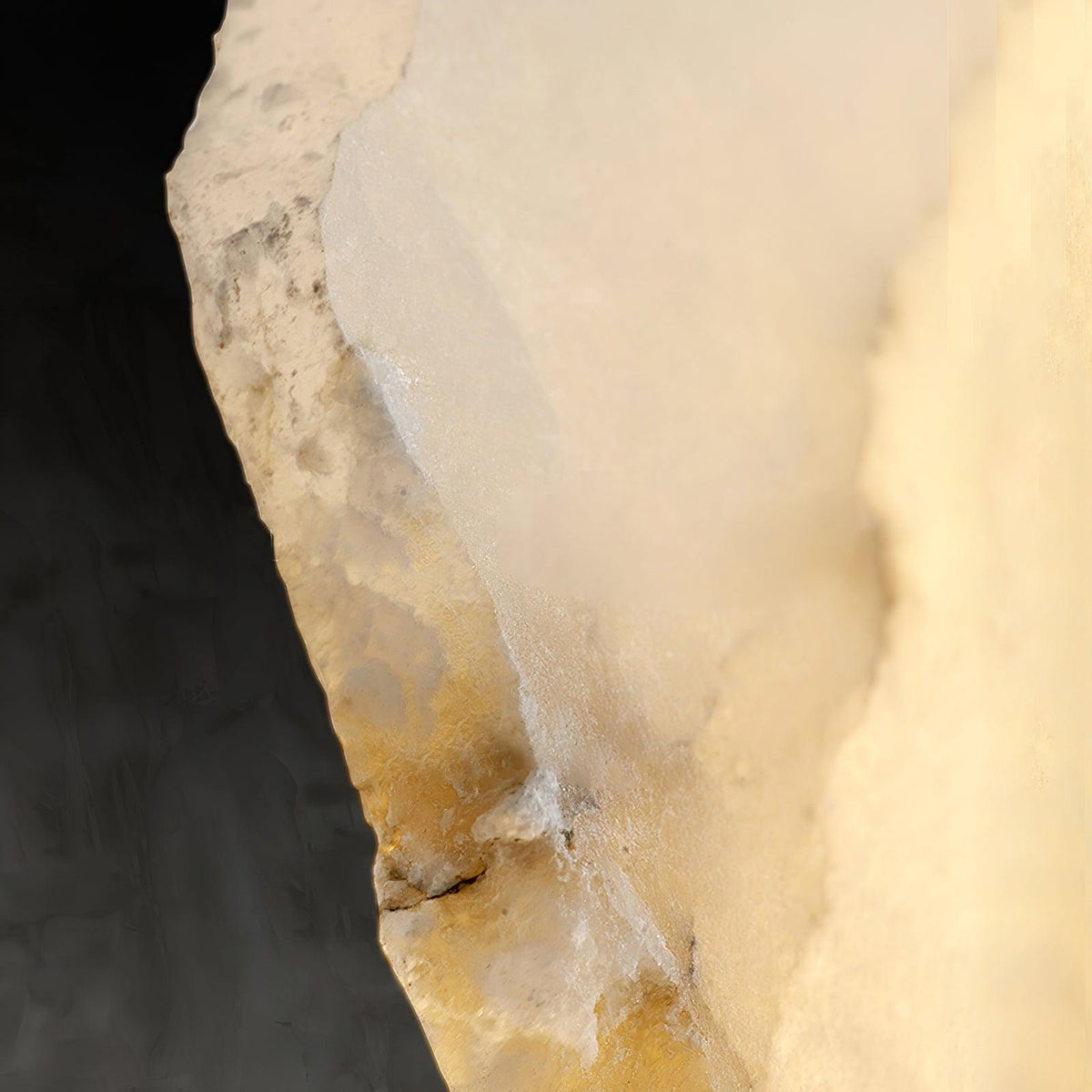 Alaeila Floral Cluster Alabaster Wall Light