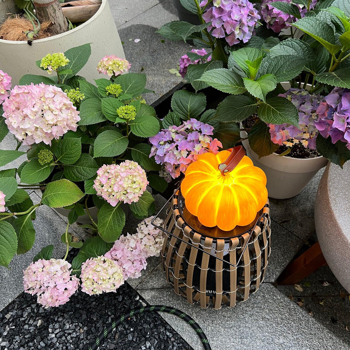Miriaya Table Lamp