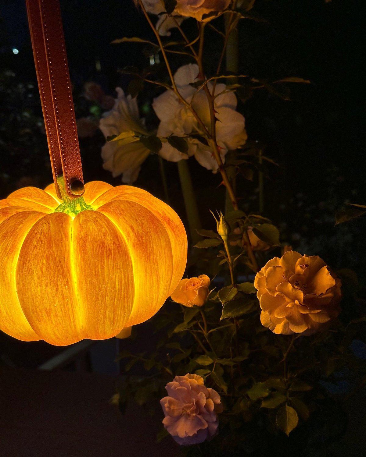 Miriaya Table Lamp