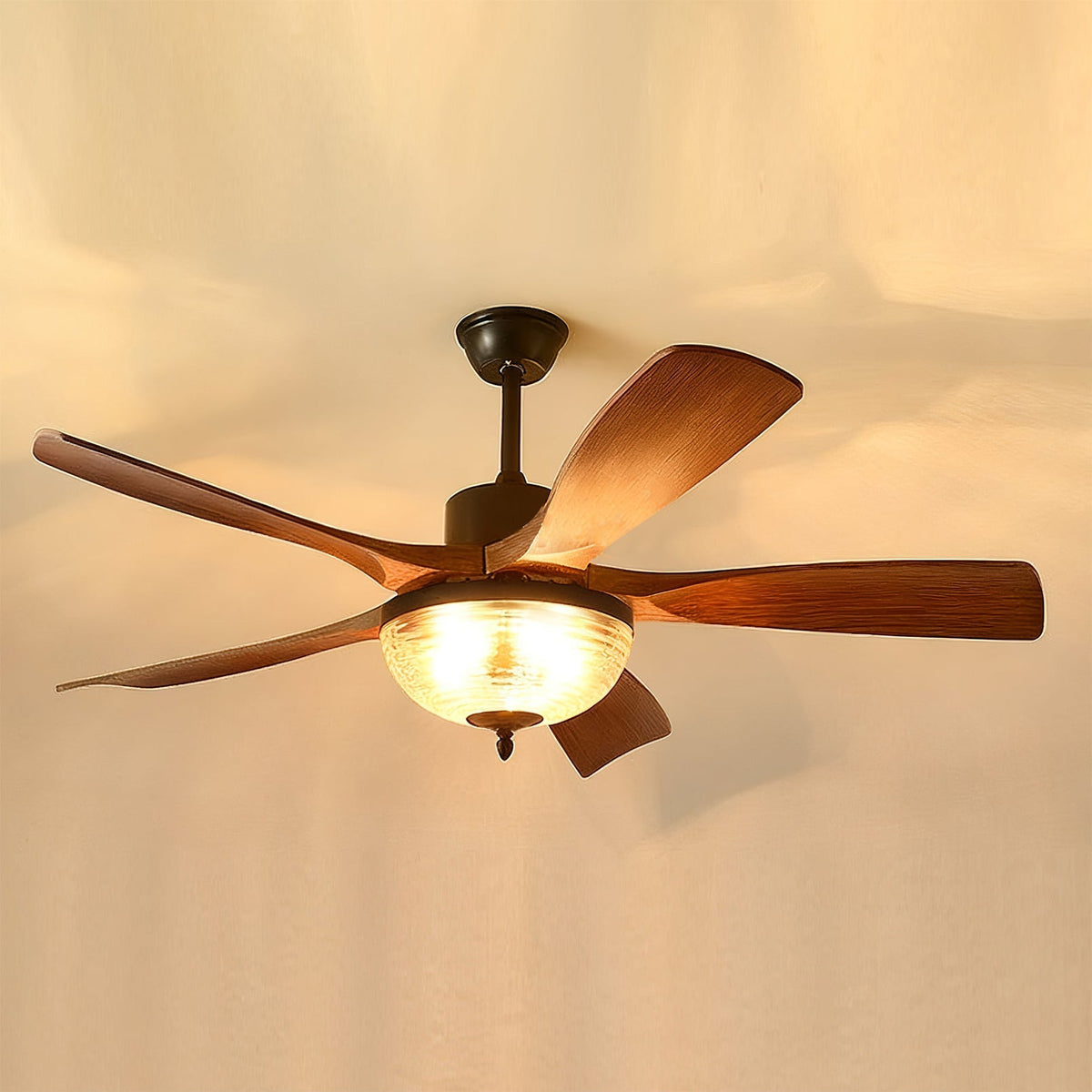 Rivanel Ceiling Fan Light