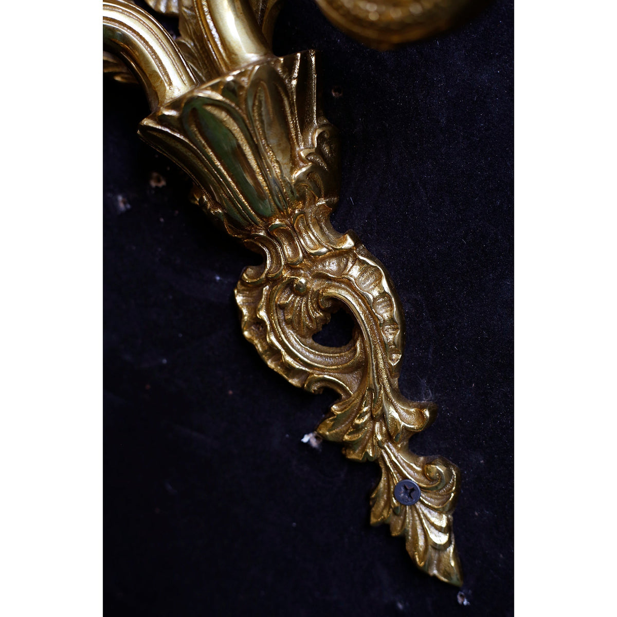 Elaanora Wall Sconce