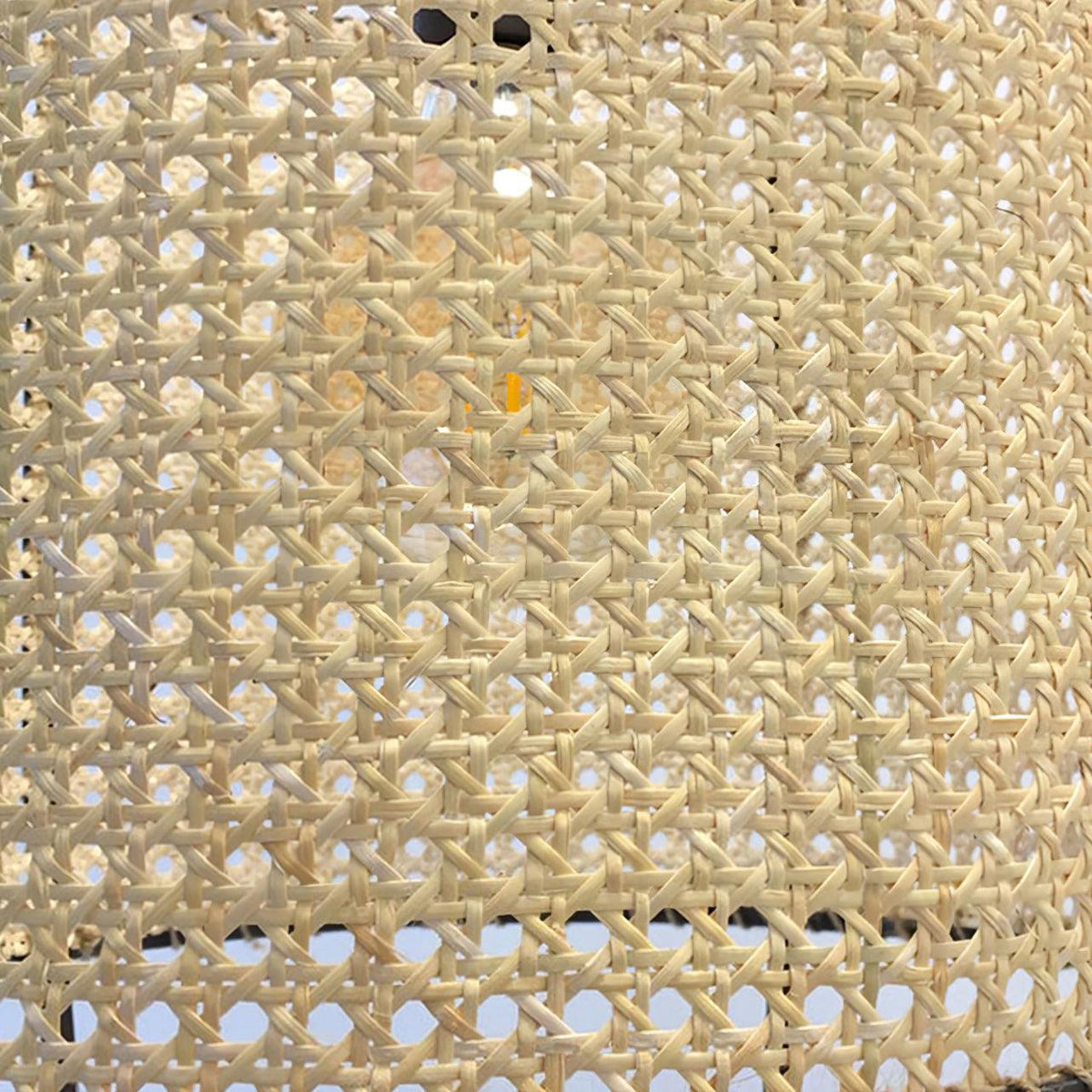 Bellia Pendant Lamp