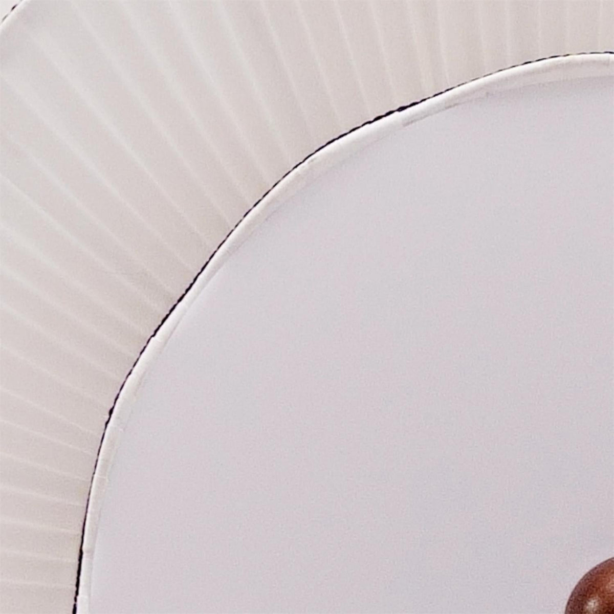 Terioise Ceiling Lamp