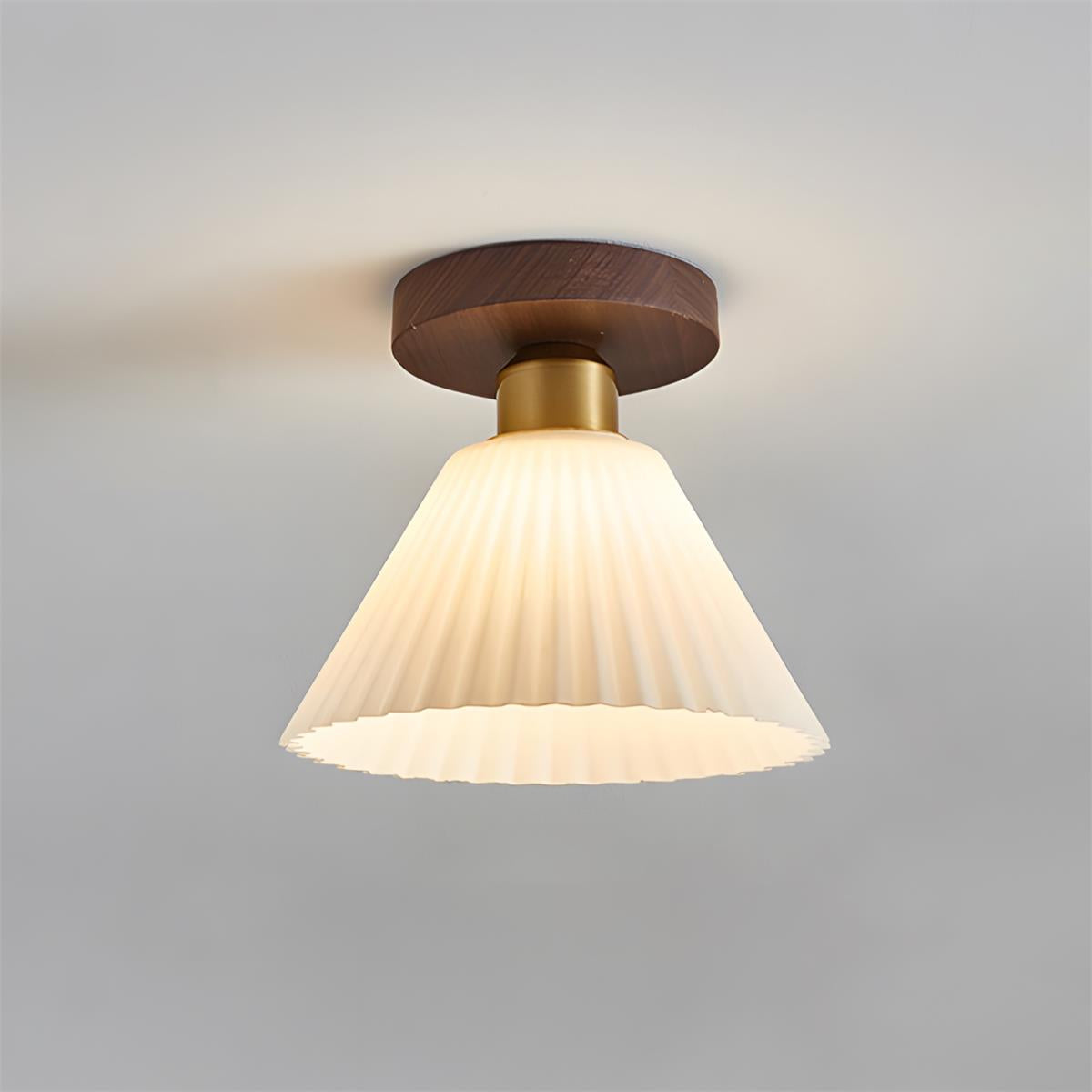 Teriisora Ceiling Light