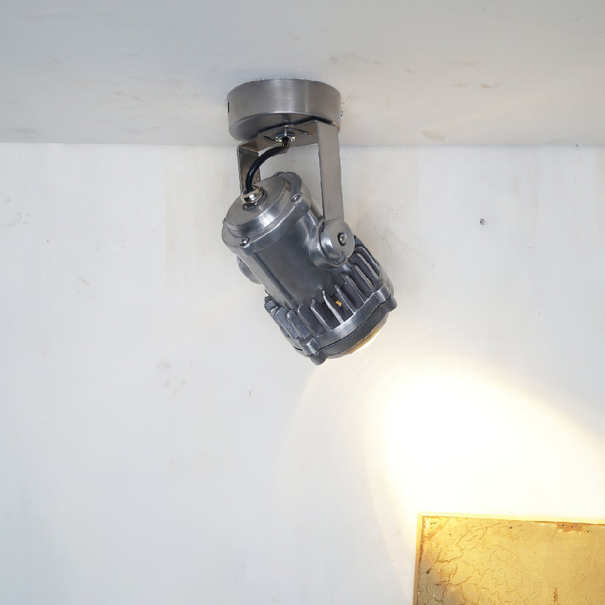 Liorivette Retro Industrial Glass Spotlight