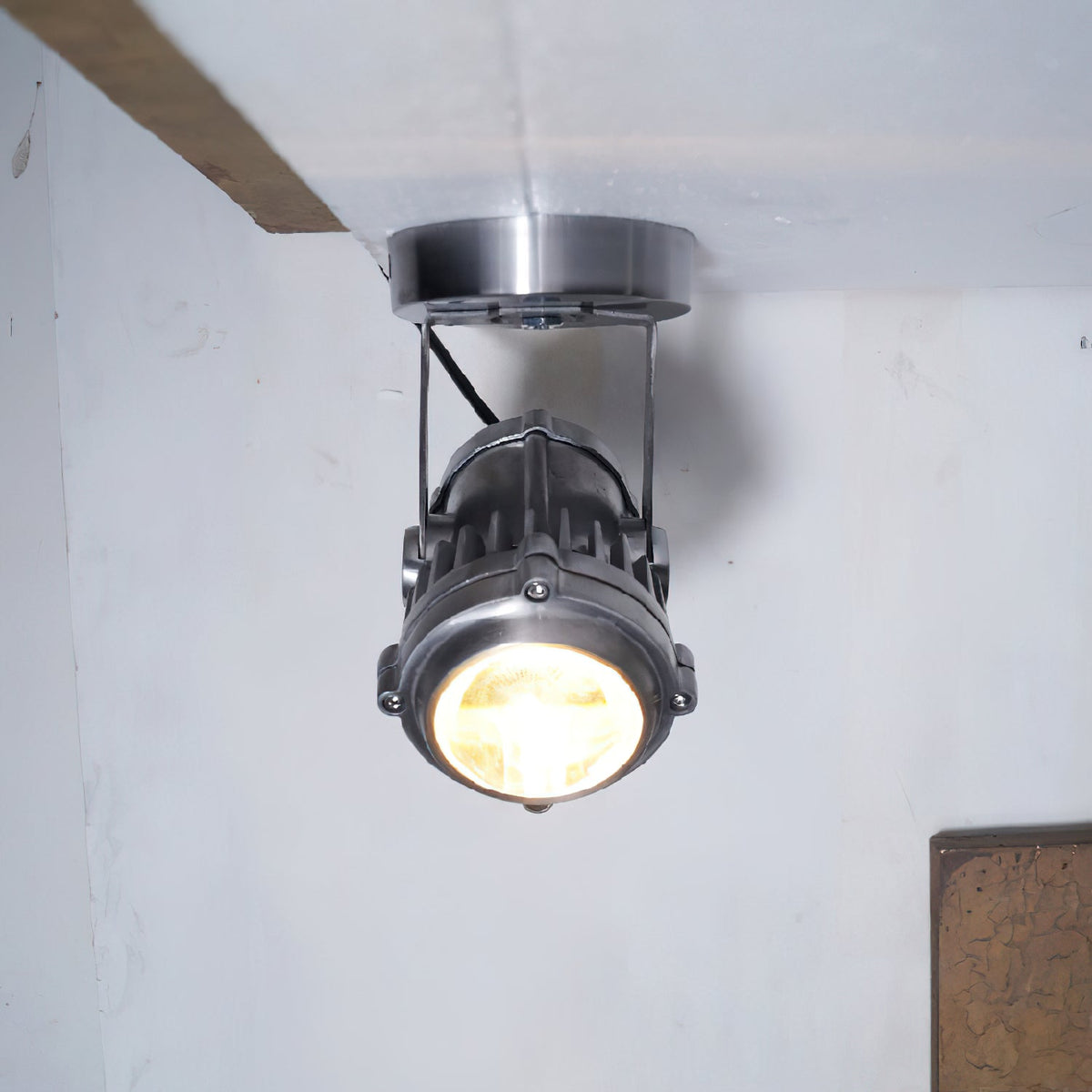 Liorivette Retro Industrial Glass Spotlight