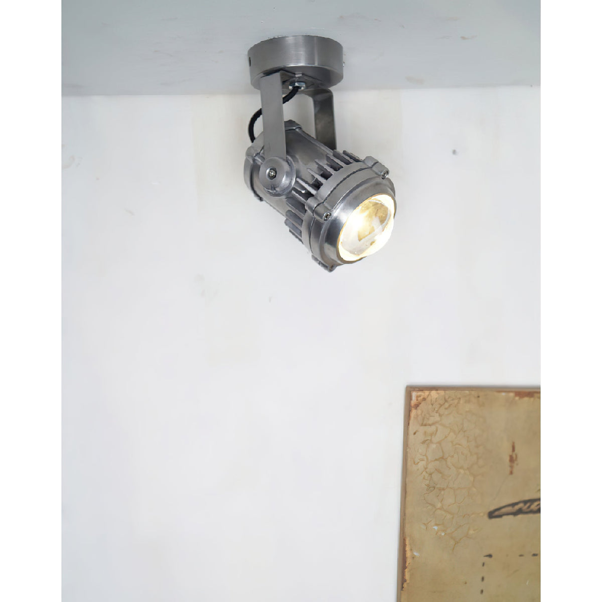 Liorivette Retro Industrial Glass Spotlight