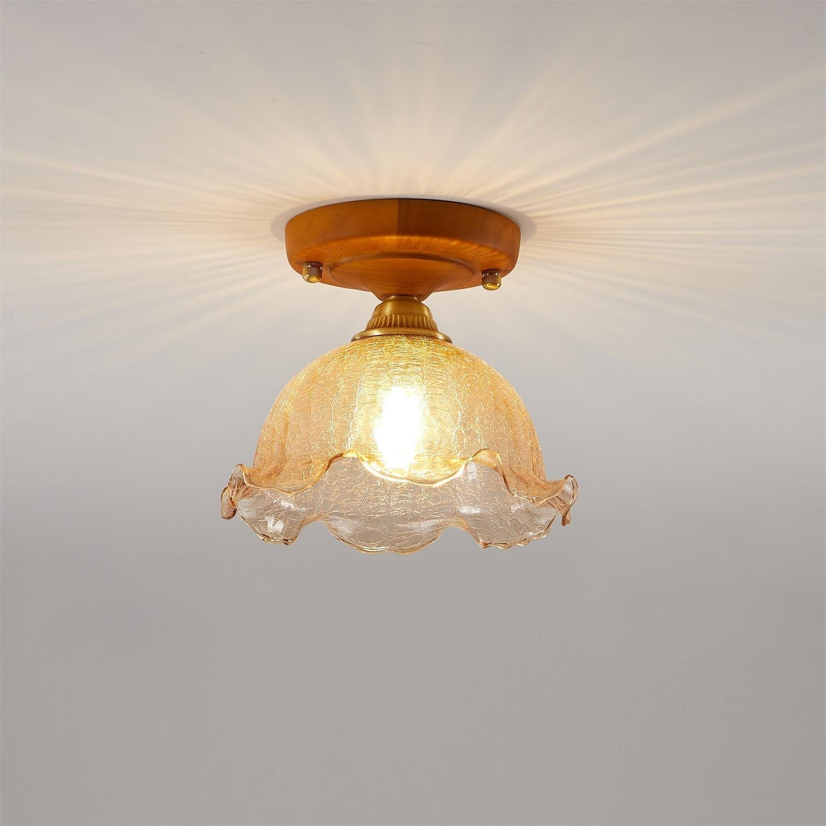 Elano Ceiling Light