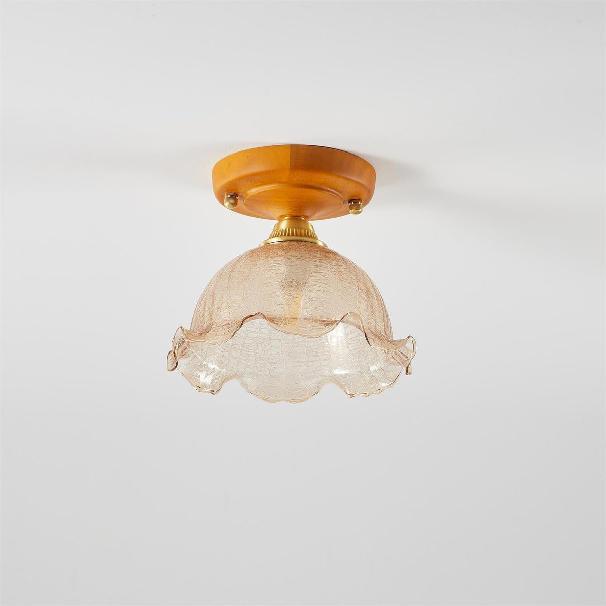 Elano Ceiling Light