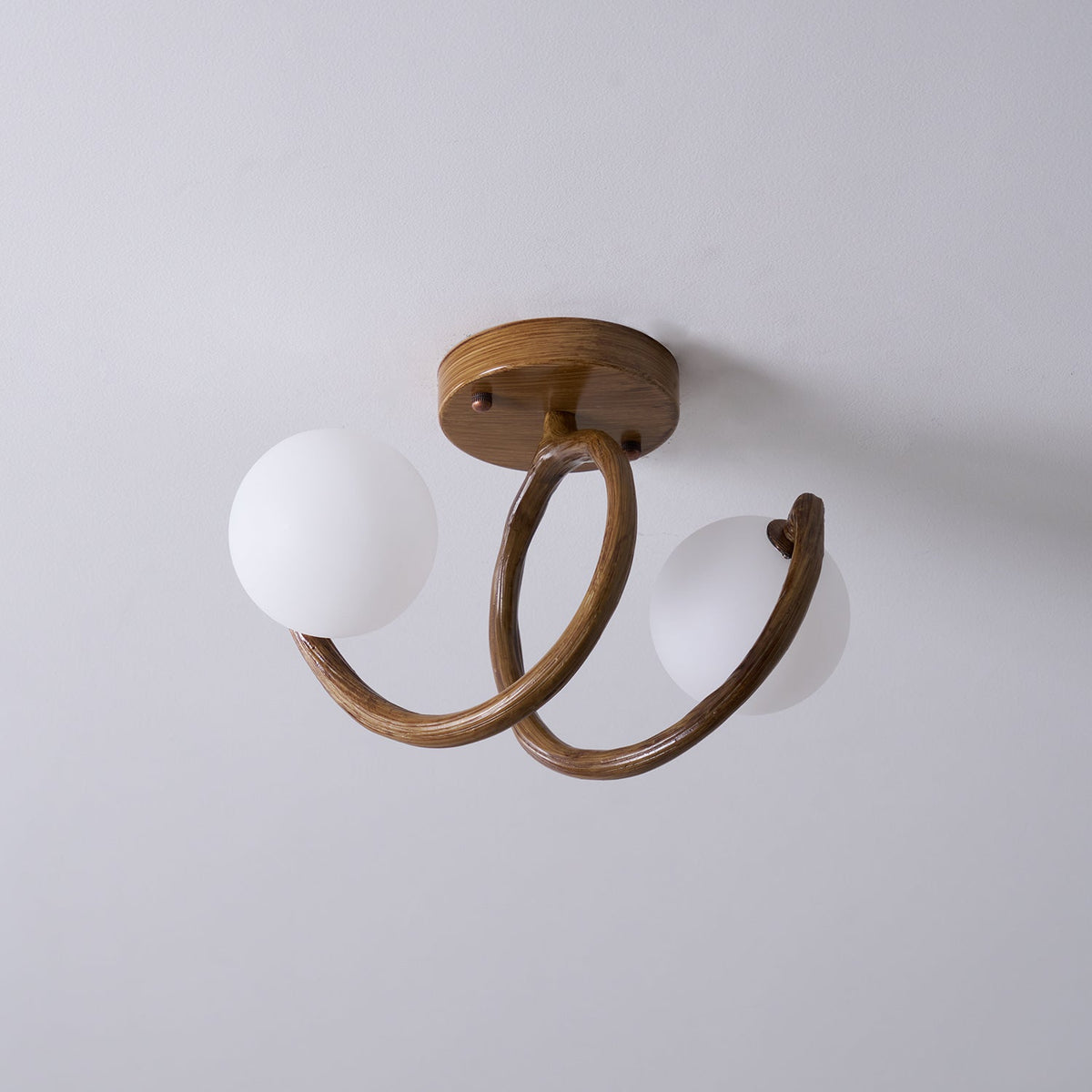 Soruel Ceiling Light