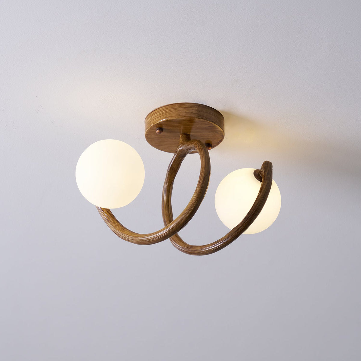 Soruel Ceiling Light