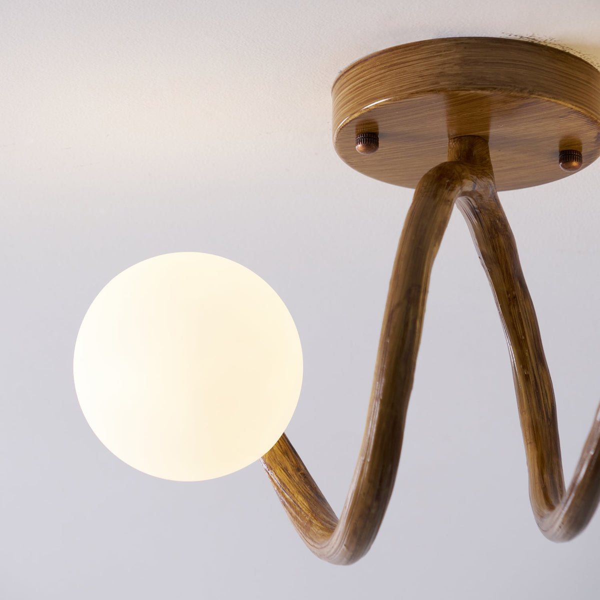 Soruel Ceiling Light