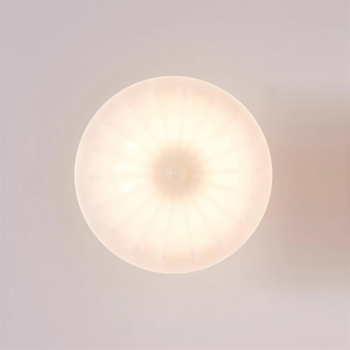 Evola Ceiling Light