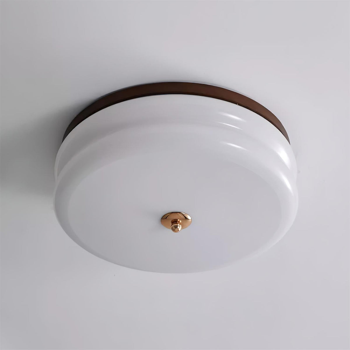 Cora Ceiling Light Double-Layer Glass Disc Walnut Minimalist