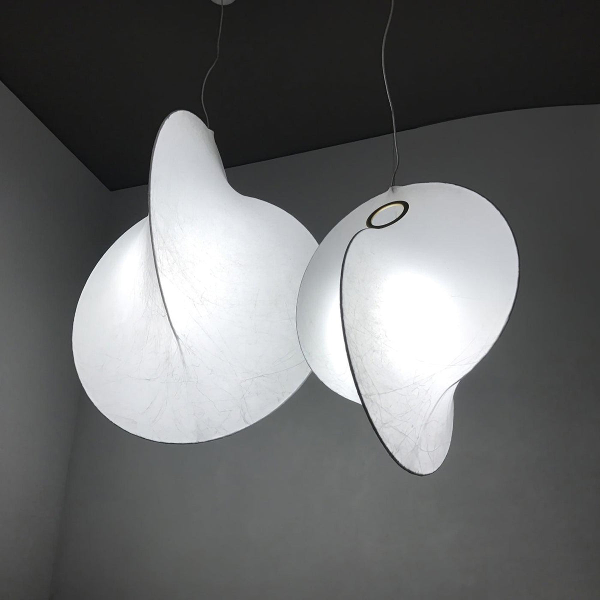 Seliia Pendant Light