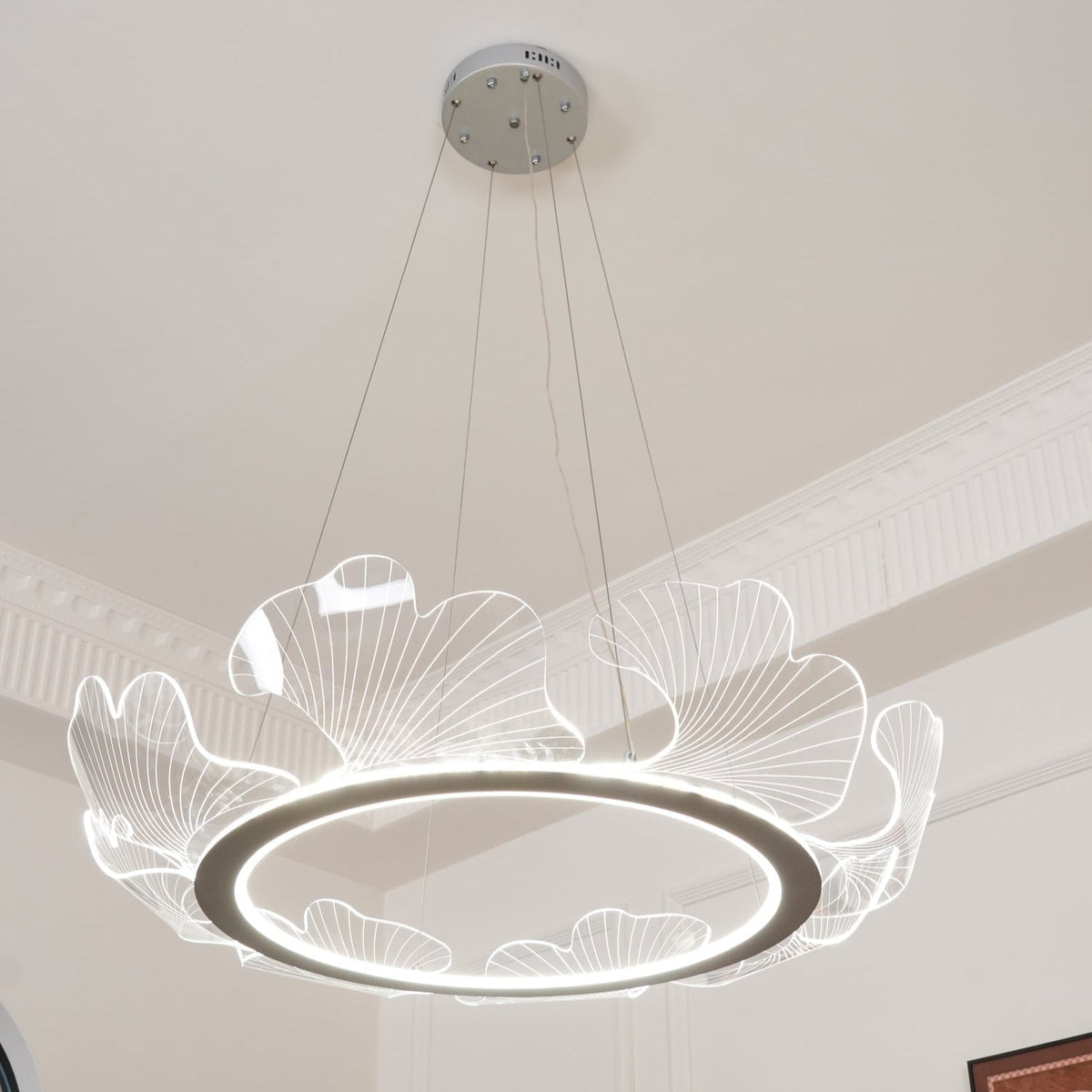 Gokubit Sea Chandelier