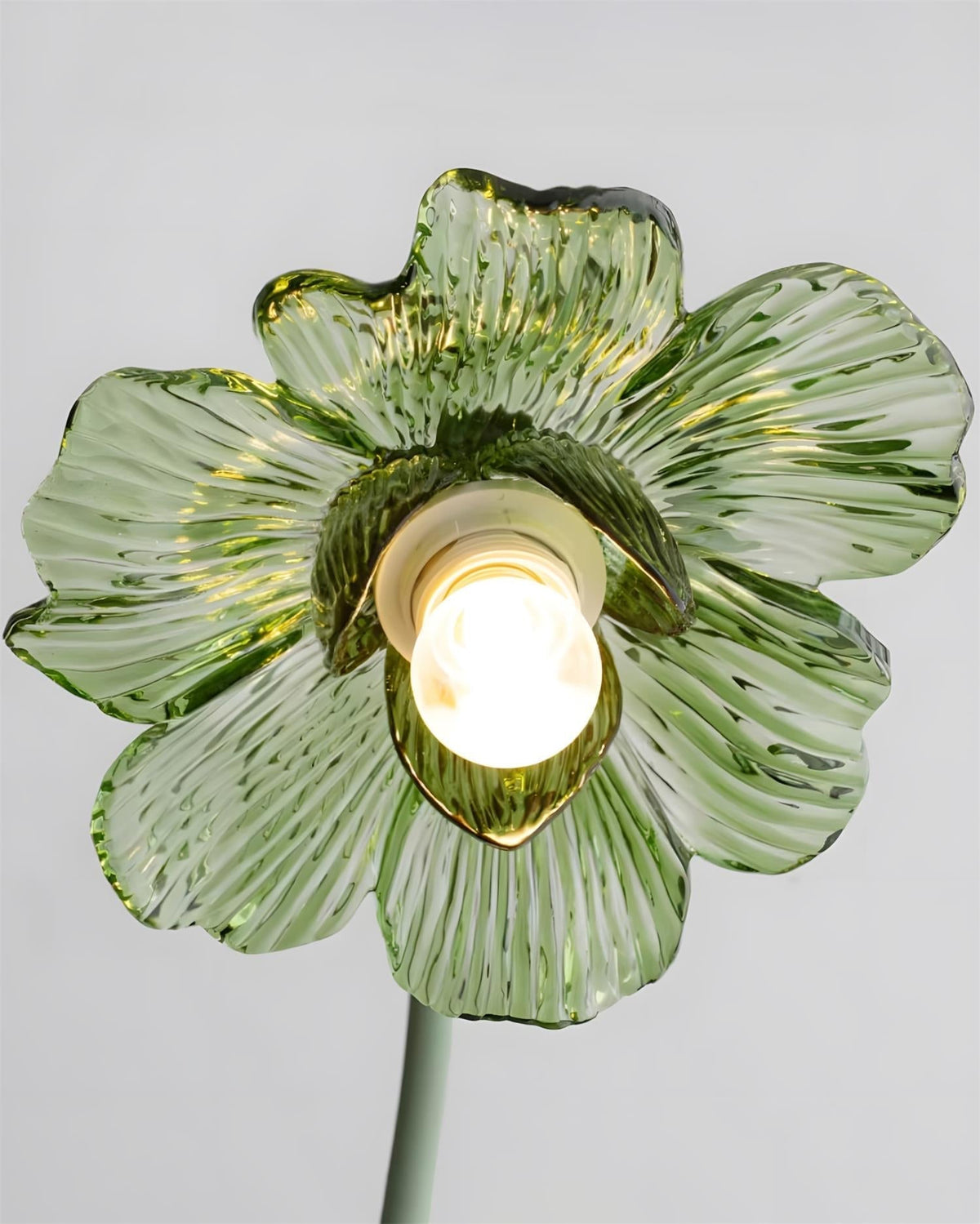 Velinella Table Lamp